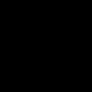 Meet your Posher, Lane